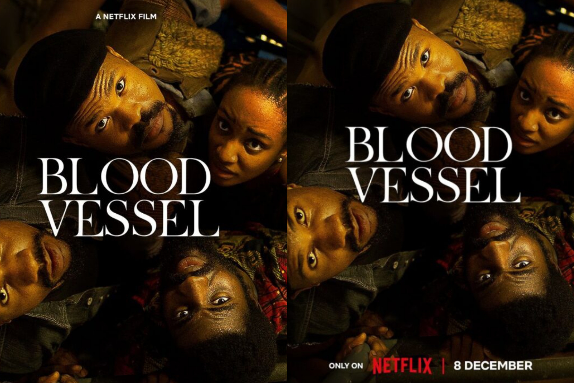 Review & Download: Blood Vessel 2023