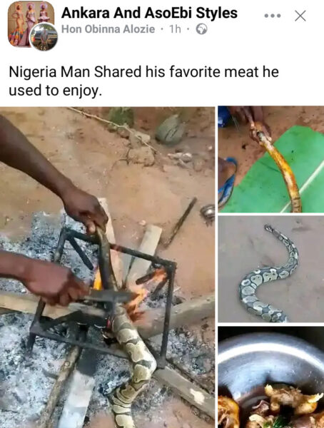 I Eat Snakes - Nigerian Man Shows Meat He Enjoys