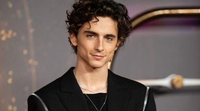 Timothée Chalamet Biography: Kylie Jenner, Height, Songs, Family And Net Worth